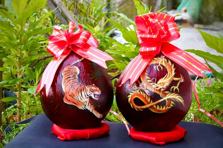 Cách Vẽ Dừa Chưng Tết Cách Vẽ Dừa Chưng Tết