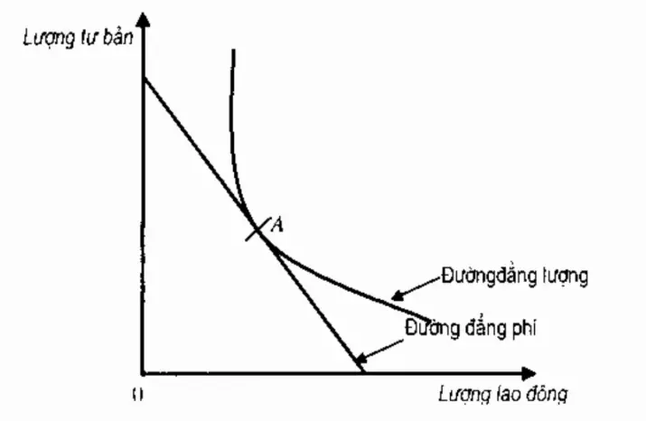 Cách Vẽ Đường Đồng Lượng