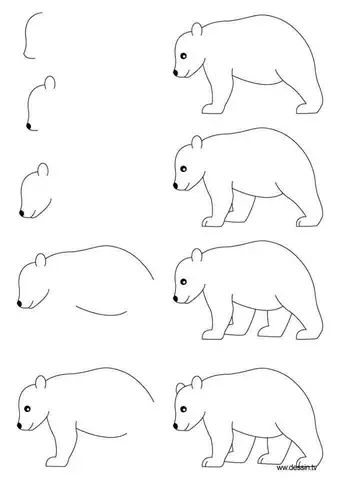 Cách Vẽ Gấu Bắc Cực