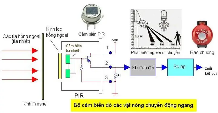 Cách Vẽ Giản Đồ Fresnel