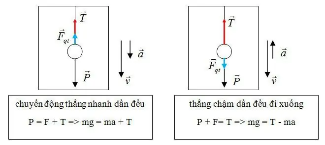 Cách Vẽ Hệ Quy Chiếu
