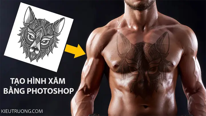 Cách Vẽ Hình Bằng Pts Cách Vẽ Hình Bằng Pts