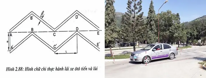 Cách Vẽ Hình Chữ Chi Cách Vẽ Hình Chữ Chi
