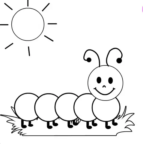 Cách Vẽ Hình Con Sâu Cách Vẽ Hình Con Sâu