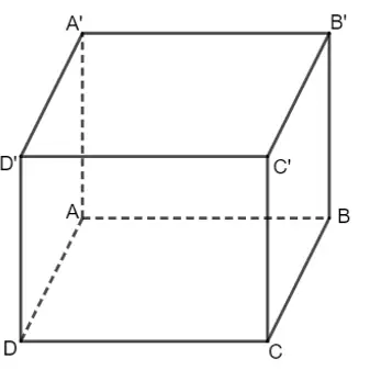 Cách Vẽ Hình Hộp Chữ Nhật