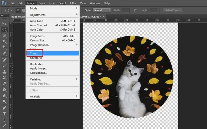 Cách Vẽ Hình Tròn Photoshop