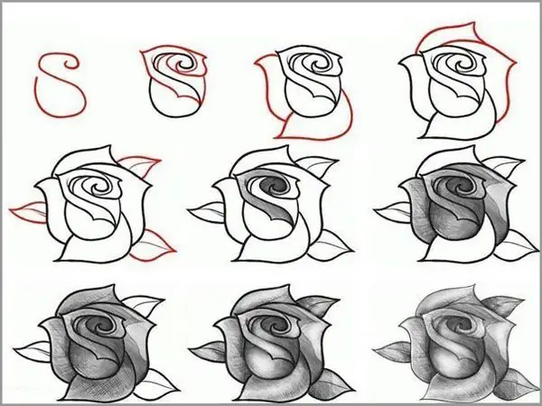 Cách Vẽ Hình Xăm Hoa Hồng Cách Vẽ Hình Xăm Hoa Hồng