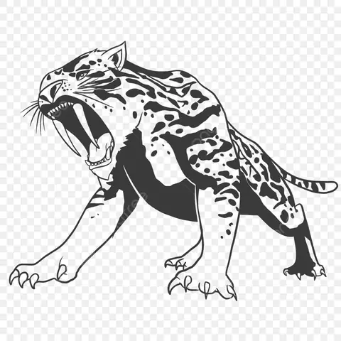 Cách Vẽ Hổ Răng Kiếm