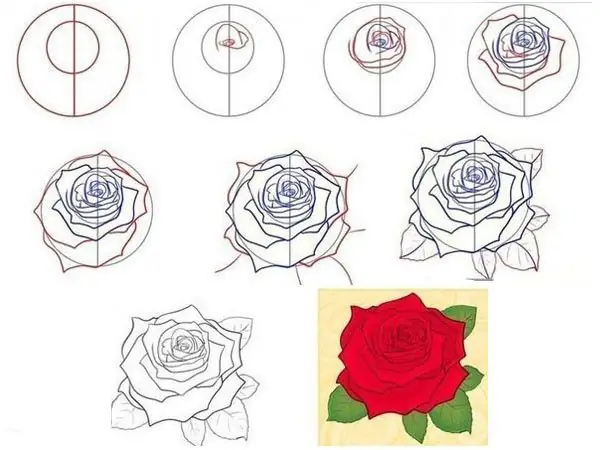 Cách Vẽ Hoa Hồng Cực Đẹp Cách Vẽ Hoa Hồng Cực Đẹp