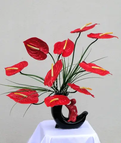 Cách Vẽ Hoa Hồng Môn Cách Vẽ Hoa Hồng Môn