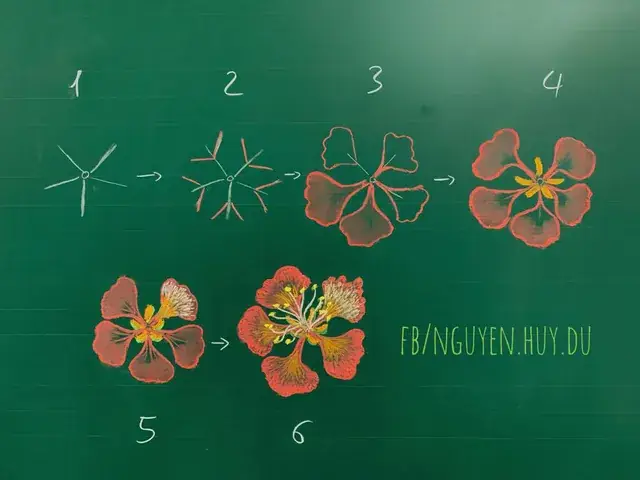 Cách Vẽ Hoa Phượng Bằng Phấn Cách Vẽ Hoa Phượng Bằng Phấn