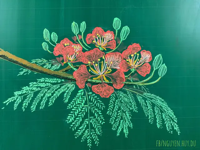 Cách Vẽ Hoa Phượng Vĩ Cách Vẽ Hoa Phượng Vĩ