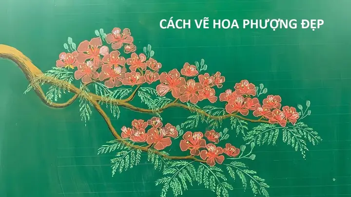 Cách Vẽ Hoa Phượng Vĩ Cách Vẽ Hoa Phượng Vĩ