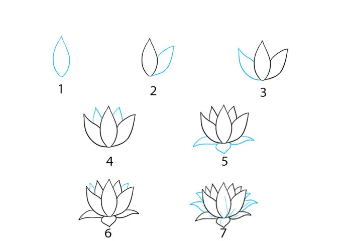 Cách Vẽ Hoa Sen Đơn Giản