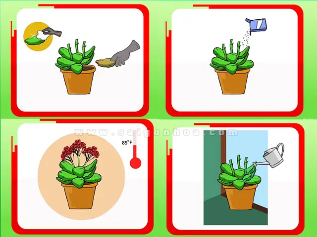 Cách Vẽ Hoa Sống Dời