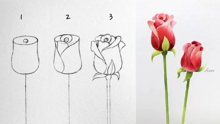 Cách Vẽ Khóm Hoa Hồng