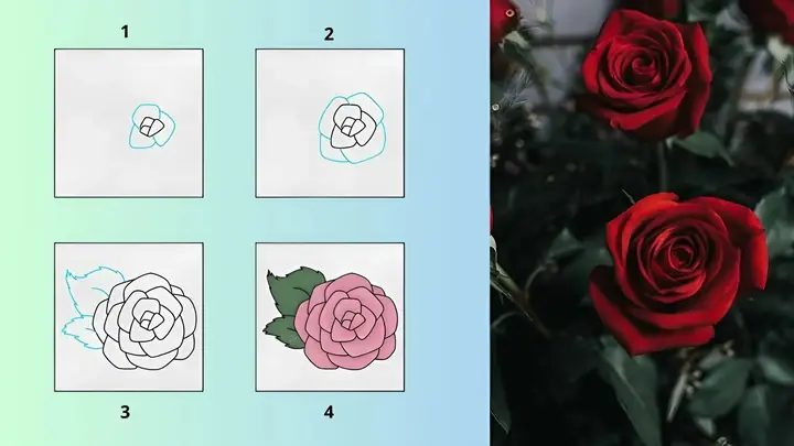 Cách Vẽ Khóm Hoa Hồng