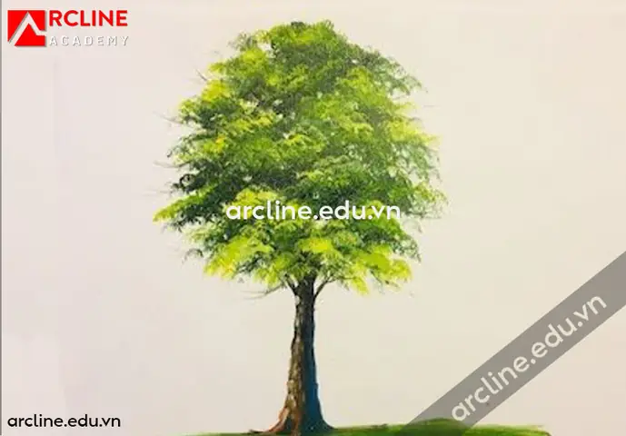 Cách Vẽ Lá Cây Bàng