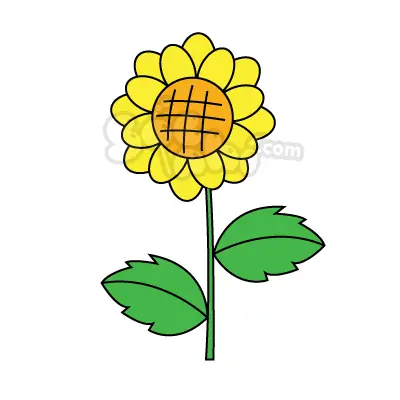 Cách Vẽ Lá Hoa Hướng Dương