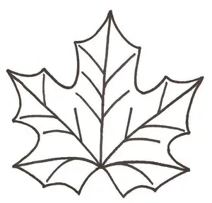 Cách Vẽ Lá Phong Đơn Giản