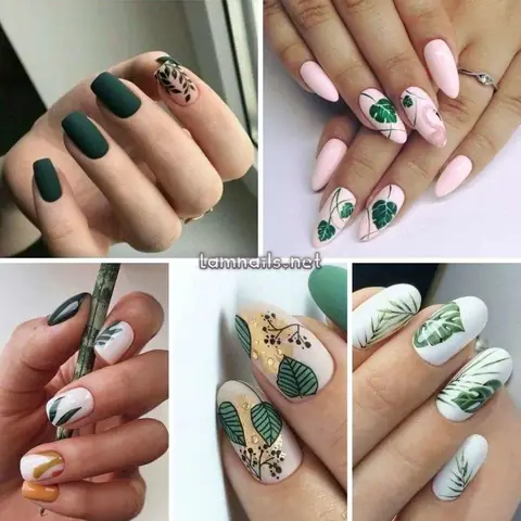 Cách Vẽ Lá Tre Đẹp Cách Vẽ Lá Tre Đẹp