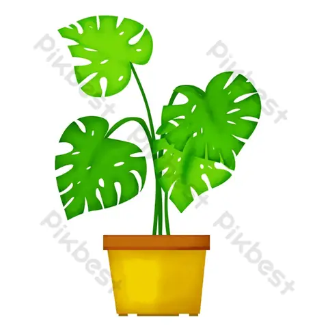 Cách Vẽ Lá Trên Chậu Cách Vẽ Lá Trên Chậu