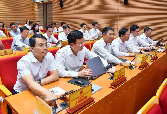 Cách Vẽ Li Mê Linh Cách Vẽ Li Mê Linh