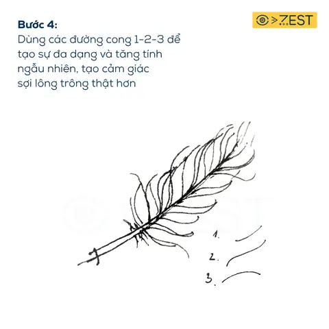 Cách Vẽ Lông Vũ Tattoo