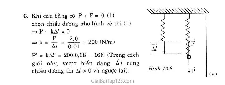 Cách Vẽ Lực Đàn Hồi