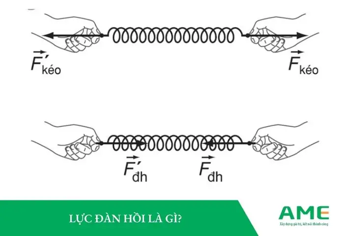 Cách Vẽ Lực Đàn Hồi