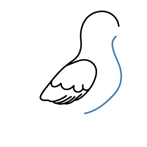 Cách Vẽ Mắt Bồ Câu
