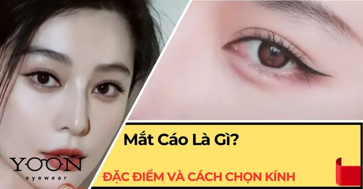 Cách Vẽ Mắt Đặc Trưng
