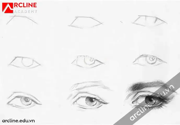 Cách Vẽ Mắt Người Illustrator