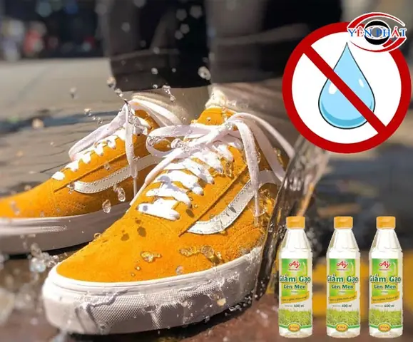 Cách Vẽ Mẫu Giày Vans