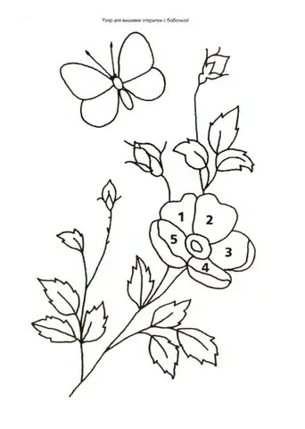 Cách Vẽ Mẫu Thêu Tay