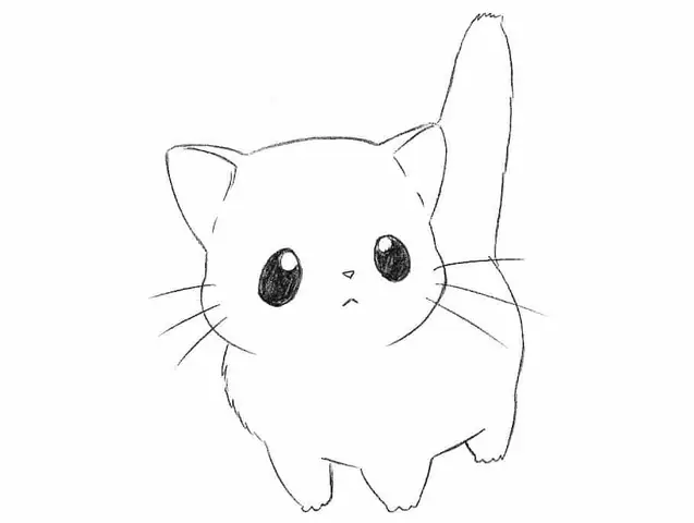 Cách Vẽ Mèo Cute Nhất
