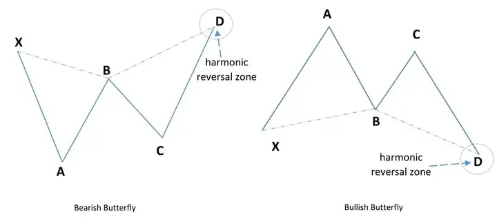 Cách Vẽ Mô Hình Harmonic