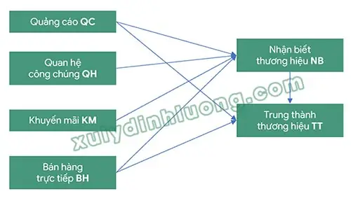 Cách Vẽ Mô Hình Sem