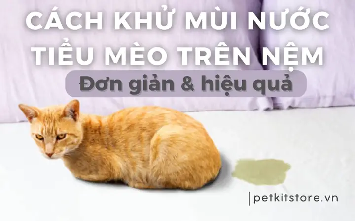 Cách Vẽ Nệm Cho Meog