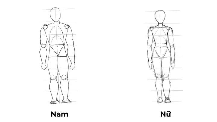 Cách Vẽ Người Sau Lưng Cách Vẽ Người Sau Lưng