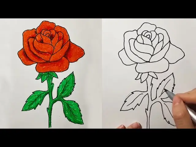 Cách Vẽ Nụ Hoa Hồng Cách Vẽ Nụ Hoa Hồng