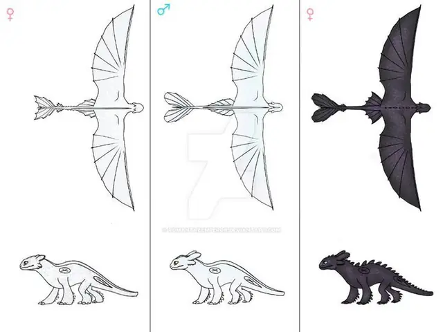 Cách Vẽ Rồng Night Fury