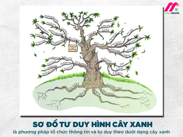 Cách Vẽ Sơ Đồ Hình Cây Cách Vẽ Sơ Đồ Hình Cây