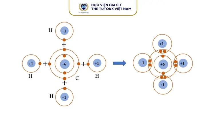 Cách Vẽ Sơ Đồ Obitan Cách Vẽ Sơ Đồ Obitan