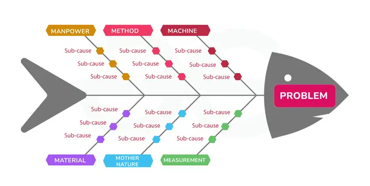 Cách Vẽ Sơ Đồ Xương Cá Cách Vẽ Sơ Đồ Xương Cá