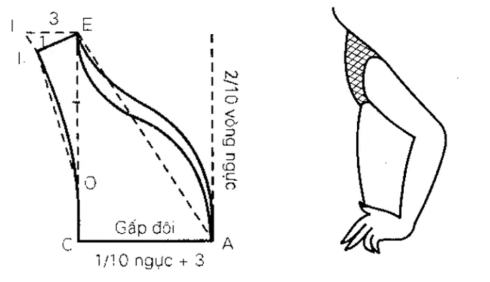Cách Vẽ Tay Áo Thun Cách Vẽ Tay Áo Thun