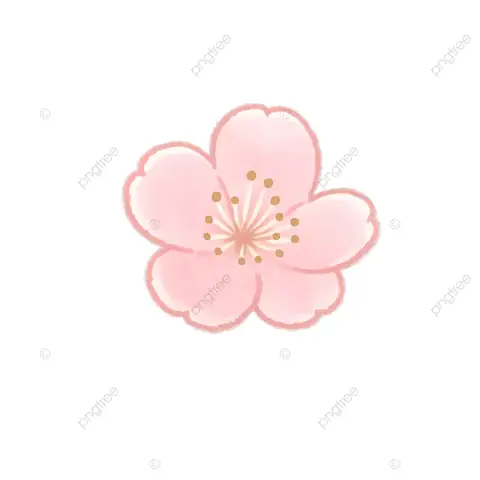 Cách Vẽ Tay Cánh Hồng Cách Vẽ Tay Cánh Hồng