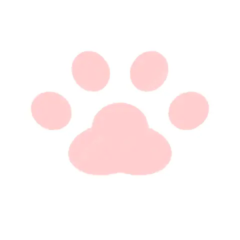 Cách Vẽ Tay Mèo Chibi
