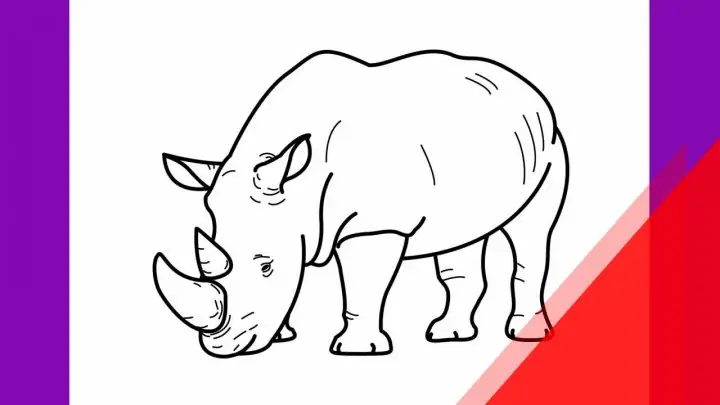 Cách Vẽ Tê Giác Đơn Giản Cách Vẽ Tê Giác Đơn Giản