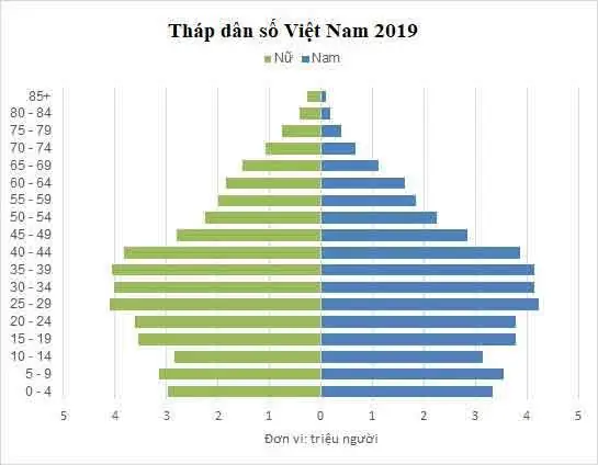 Cách Vẽ Tháp Dân Số
